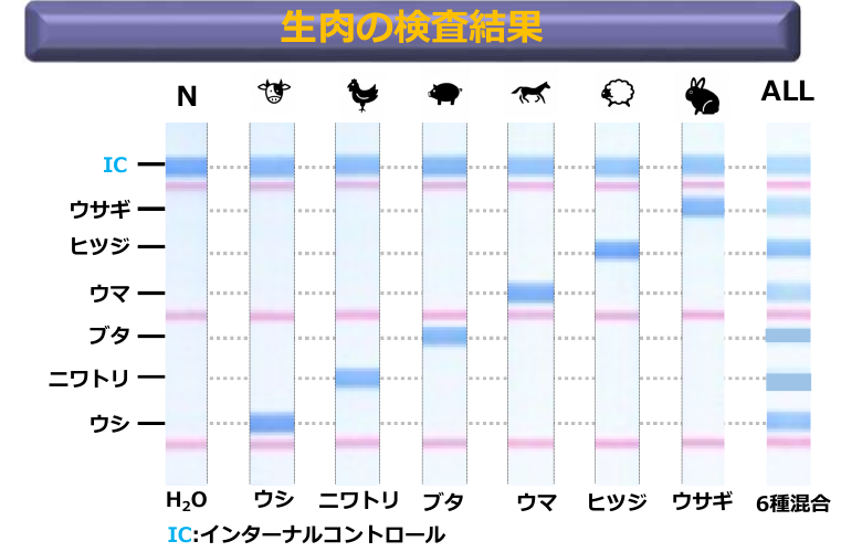 GeneInspec Meatによる牛・鶏・豚・馬・羊・ウサギのDNA判定例